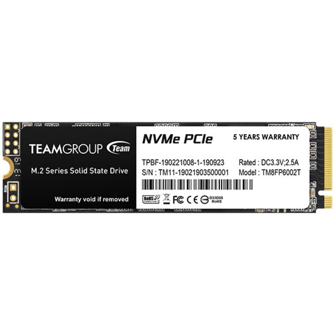 SSD 256G|TEAM TM8FP6256G0C101 R