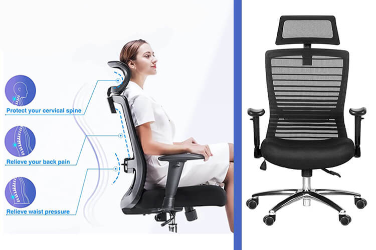 Best Office Chairs For Back Pain 2023 - Forbes Vetted