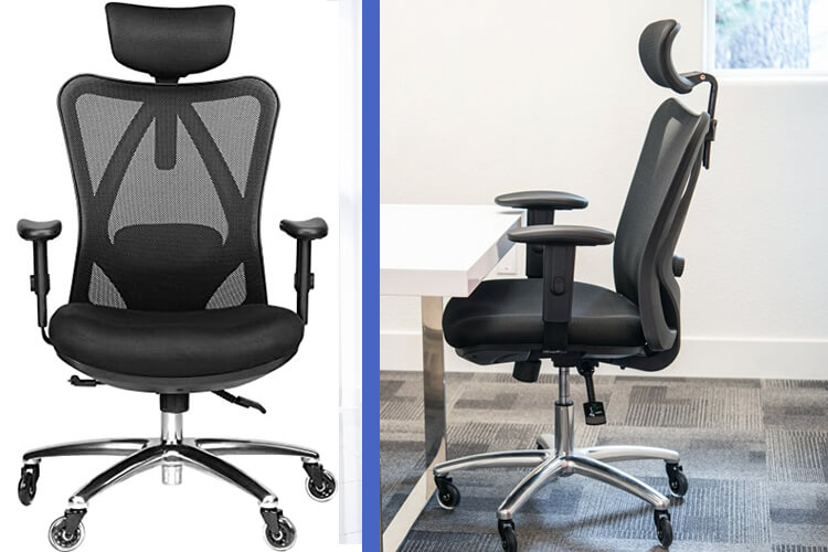 Duramont ergonomic adjustable office chair with lumbar support discount